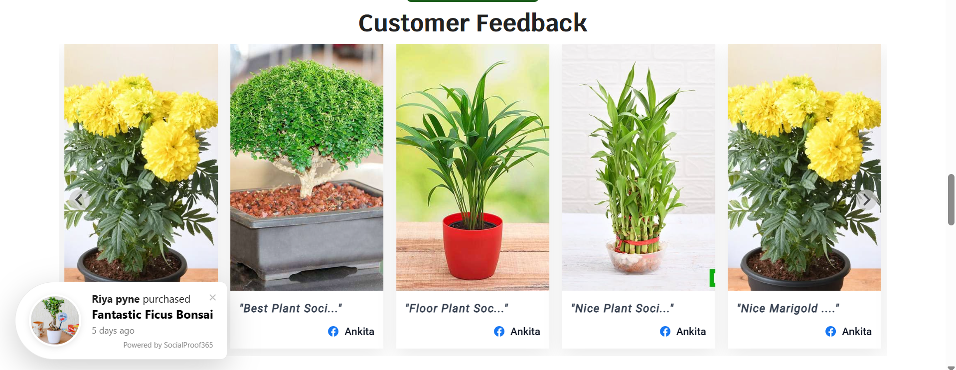 Customer Feedback