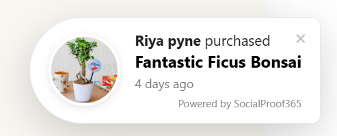 Customer Review